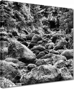 Vászonkép 30x30 Tátra Lengyel hegyek Kilátás