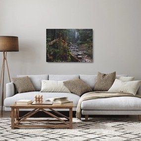 Kép - Az erdőben (üvegen) (70x50 cm)