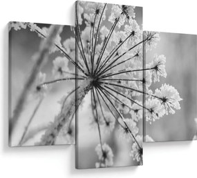 Kép - Virág télen (90x60 cm)