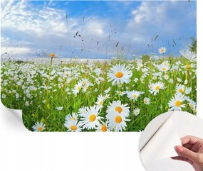 Fotótapéta Fali tapéta Hålószobåba és Nappaliba Nyåri rét 104x70 cm