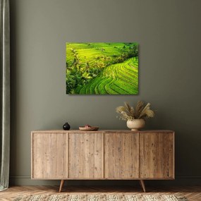 Kép - Rizs teraszok (üvegen) (70x50 cm)