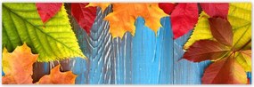 Poszterek 200x66 Színes őszi levelek