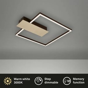 Briloner 3544-017 - LED Dimmelhető mennyezeti lámpa NICO LED/12W/230V arany