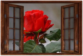 Poszterek 60x40 Rózsa Virág Virágok Rózsa