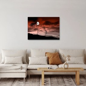 Kép - Hold megvilágítja az éjszakát (70x50 cm)