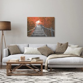 Üveg kép - Lépcsők a természetben, narancssárga (70x50 cm)