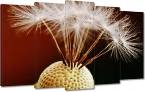 Vászonkép 100x60 Pitypang Virág Virágok