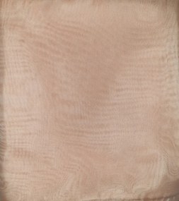 Angéla Organza Függöny 250 x 300 cm Barack