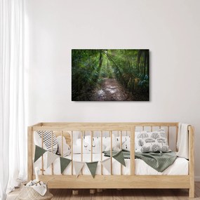 Kép - Napsugarak a dzsungelben (90x60 cm)