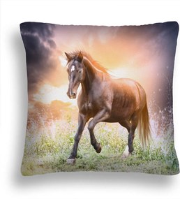 Ló Párna 36 Csődör Napfelkelte Párnahuzat Jancsi 70x80