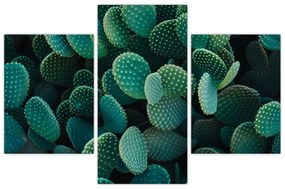 Kép - Opuntia (90x60 cm)