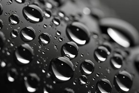 Poszter 45x30cm Mikrokozmosz cseppek