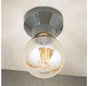 Orion - Mennyezeti lámpa FROST 1xE27/60W/230V szürke