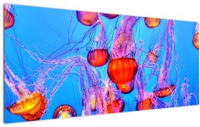 Medúza a tengerben képe (120x50 cm)