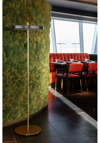 Antracitszürke LED dimmelhető állólámpa fém búrával (magasság 151 cm) Asteria Floor – UMAGE