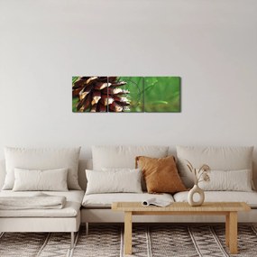 Fenyőtoboz képe (órával) (90x30 cm)