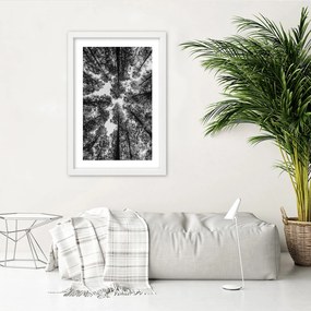 Gario Poszter Fák koronái A keret színe: Fekete, Méret: 40 x 60 cm