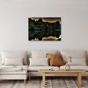 A tó képe az erdő mellett (70x50 cm)