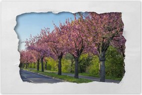 Poszterek 90x60 Fa Kilátás