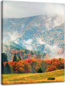 Vászonkép Hegy Erdők Rétek Felhők Természet 30x40 cm Ajándéknak is tökéletes