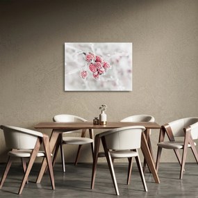 Kép - Fagyasztott gyümölcsök (üvegen) (70x50 cm)