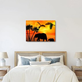 Kép - papagájok és elefántok (70x50 cm)
