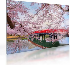 Üveg kép - Hirosaki, Japán (70x50 cm)