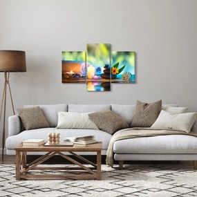 Kép - Relaxáció (90x60 cm)