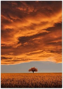 Poszterek 70x100 Narancssárga égbolt