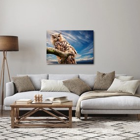 Bagoly képe (70x50 cm)
