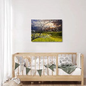 Kép - Virágzó fa az országban (üvegen) (70x50 cm)