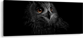 Kép - bagoly, ábra (120x50 cm)