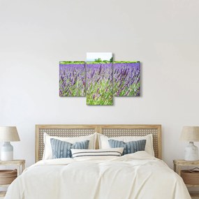 Egy mező képe a levendulával (90x60 cm)