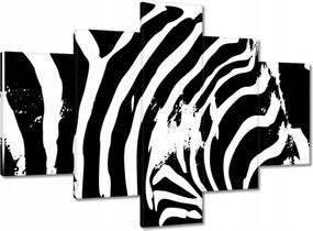 Vászonkép 100x70 Zebra csíkos kisállat