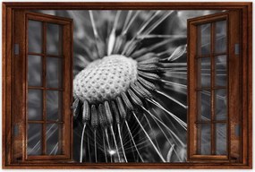 Poszterek 120x80 Pitypang Virág Virágok