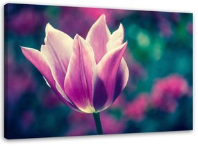 Gario Vászonkép Nyitott tulipán Méret: 60 x 40 cm
