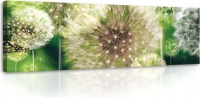 Vászonkép 145x45 Pitypangok rusztikus belső térben Múló álmok stílusában