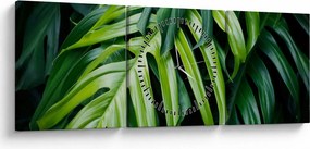 Kép - trópusi levelek (órával) (90x30 cm)