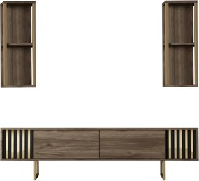 Gold Line - Walnut, Black