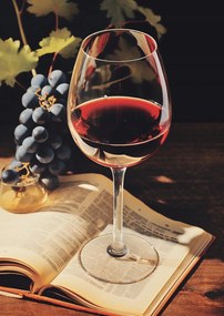 Poszter 21x29,7cm Történelem csokor