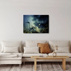 Kép - szitakötő a csillogó éjszakában (üvegen) (70x50 cm)