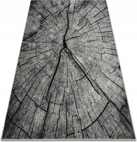 Nappali Szőnyeg Silver Tronko Fatörzs Keresztmetszet Szürke 300x400 cm