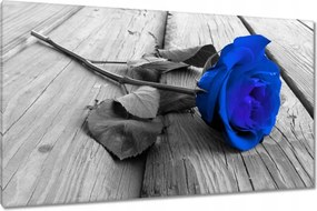 Vászonkép 120x70 Kék rózsa Ajándék