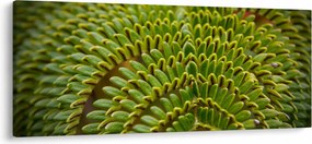 Kép - Fern (120x50 cm)