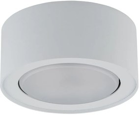 Nowodvorski Lighting Flea mennyezeti lámpa 1x12 W fehér 8202