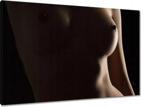 Vászonkép 90x60 Természetes szépség Érzéki éjszakai tekintet