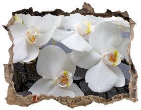Lyuk 3d fali matrica Orchidea nd-k-143985624