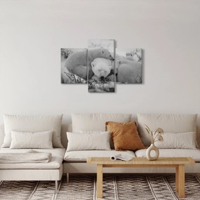 Kép - Jegesmedvék, fekete-fehér (90x60 cm)