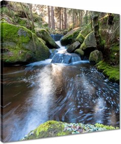 Vászonkép 40x40 Csendes folyószakasz