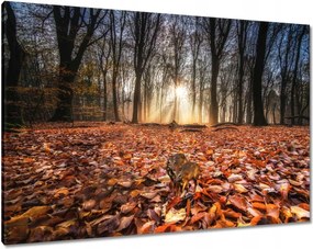 Vászonkép 100x70 Kihalás fenyegeti